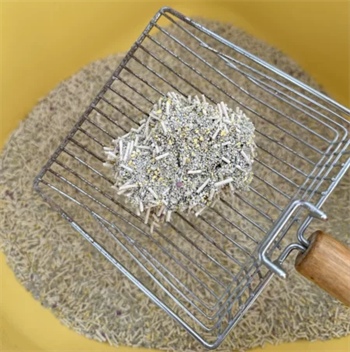 草莓猫砂除臭结团效果测评,使用体验如何? 草莓猫砂除臭结团效果测评,使用体验如何?