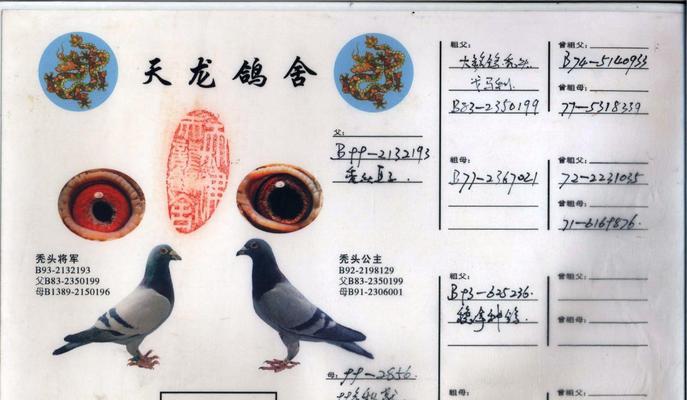 黄金血统的传承价值与社会意义