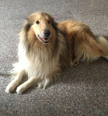 苏牧与喜乐蒂:激情与宁静的音乐对话 苏牧与喜乐蒂:激情与宁静的音乐对话