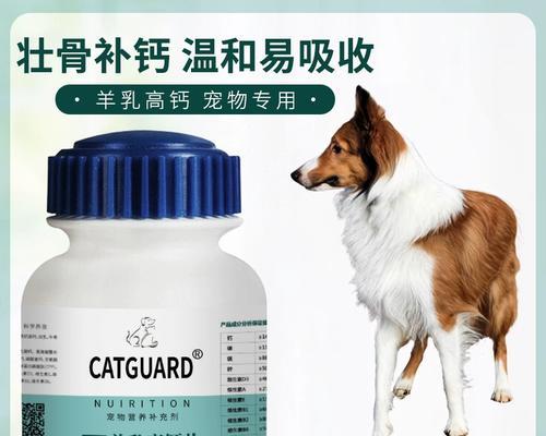 苏牧与喜乐蒂:激情与宁静的音乐对话 苏牧与喜乐蒂:激情与宁静的音乐对话