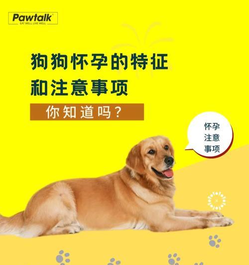 购买宠物狗前必须了解的15个注意事项 购买宠物狗前必须了解的15个注意事项