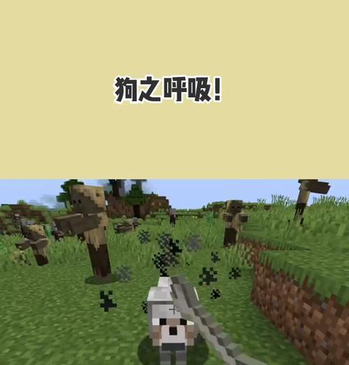 小狗喘气声常见原因及健康隐患解析 小狗喘气声常见原因及健康隐患解析