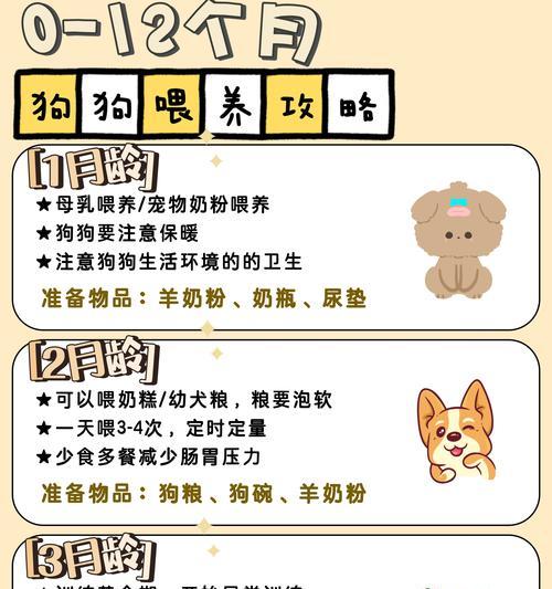 狗狗吃排骨的营养与安全指南