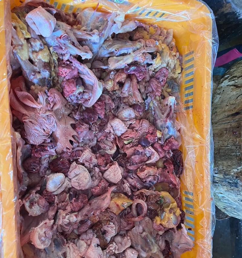 一斤15元狗粮是否健康？全面解析背后的隐患与选择建议