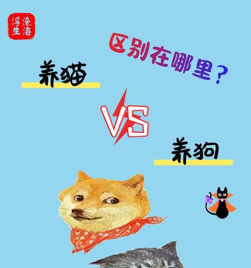 宠物狗异地搬迁安全指南与实用技巧