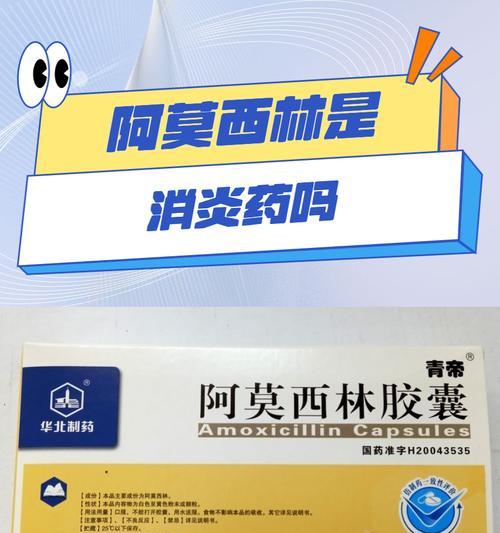 泰迪消炎药种类与功效全解析