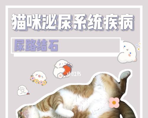 猫尿结石术后洗澡注意事项及恢复建议 猫尿结石术后洗澡注意事项及恢复建议