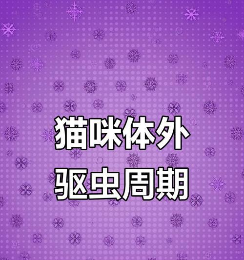 科学规划猫咪驱虫周期，守护健康生活