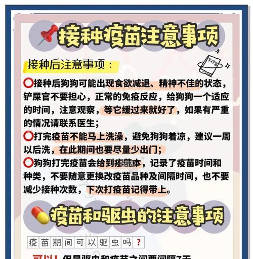 幼犬疫苗接种指南与护理要点