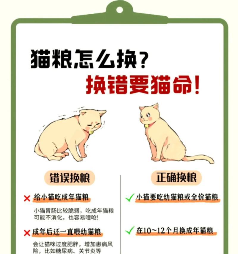 猫咪拉稀的科学应对方法与注意事项 猫咪拉稀的科学应对方法与注意事项