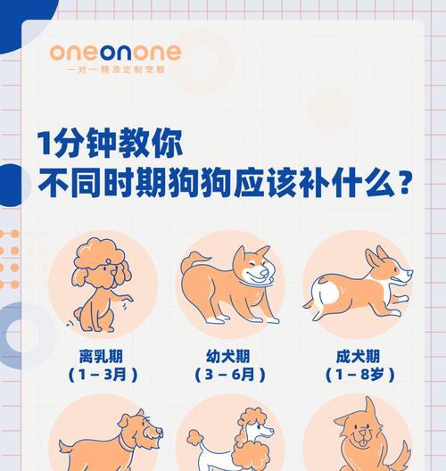 狗狗喝牛奶是否安全？健康风险与注意事项