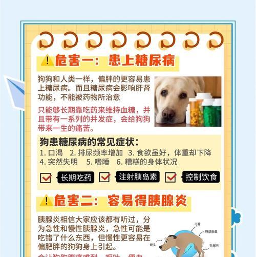 狗狗喝牛奶是否安全？健康风险与注意事项