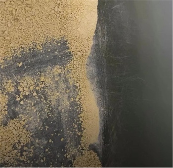 猫不理狗子小米猫砂真实使用体验测评 猫不理狗子小米猫砂真实使用体验测评