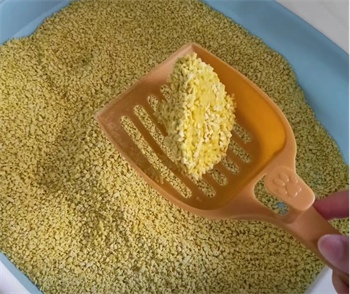 猫不理狗子小米猫砂真实使用体验测评 猫不理狗子小米猫砂真实使用体验测评