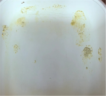 猫不理狗子小米猫砂真实使用体验测评 猫不理狗子小米猫砂真实使用体验测评