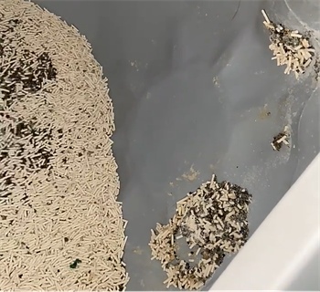 喵达红袋混合猫砂测评：粉尘少结团好，但带砂明显