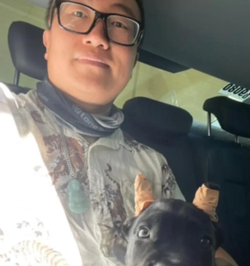 卡斯罗可以和哪些狗狗一起养?适合的伴侣犬推荐 卡斯罗可以和哪些狗狗一起养?适合的伴侣犬推荐