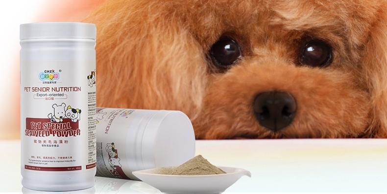 为爱犬挑选海澡粉，让清洁更温和有效