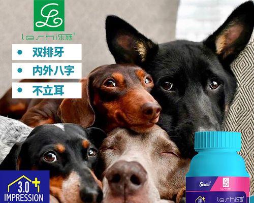 博美犬钙质需求及如何挑选合适的钙片