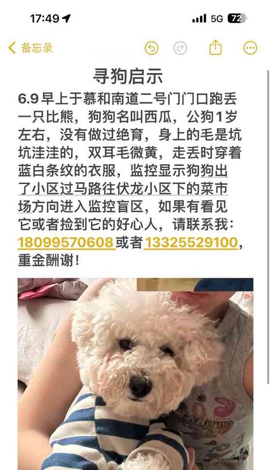 给你的以公比熊取个独特又好听的名字 给你的以公比熊取个独特又好听的名字