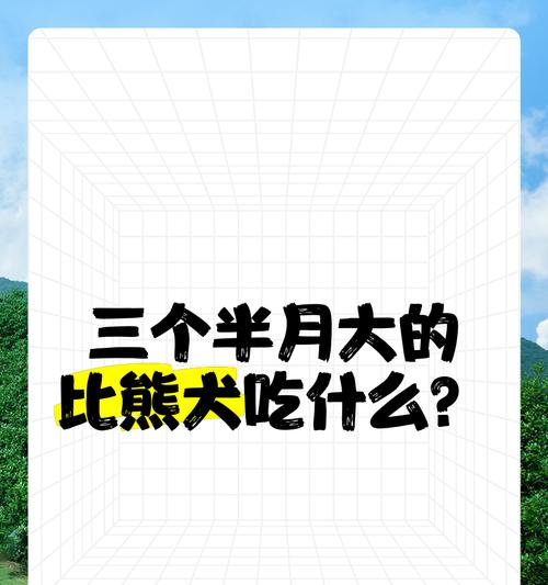 比熊犬各阶段饮食需求指南,科学喂养更健康 比熊犬各阶段饮食需求指南,科学喂养更健康