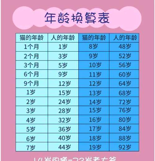 如何通过猫咪牙齿变化判断年龄 如何通过猫咪牙齿变化判断年龄