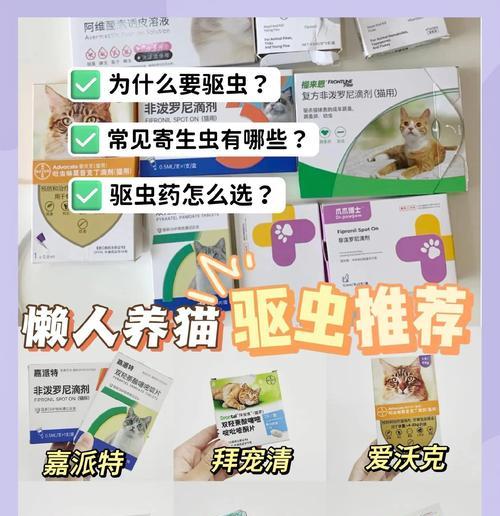 驱虫药使用指南：正确方法与注意事项