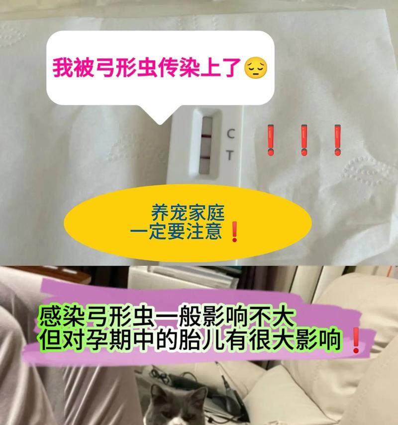 弓形虫预防：狗狗疫苗与科学措施