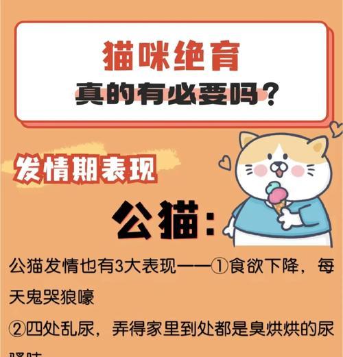 猫咪绝育后狂躁期如何应对？科学方法助其恢复平静