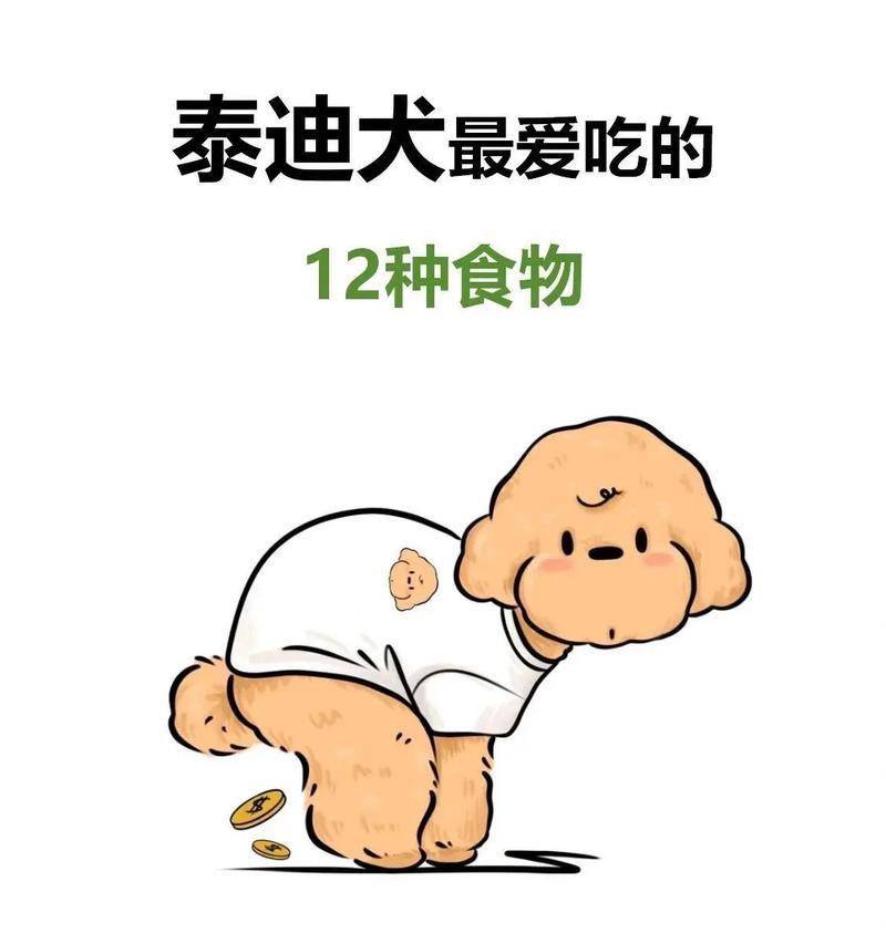 养泰迪必备用品清单与注意事项