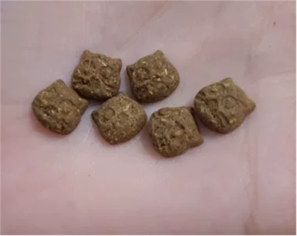 猫咪肥胖怎么科学减肥?嘉传F15猫粮效果解析 猫咪肥胖怎么科学减肥?嘉传F15猫粮效果解析