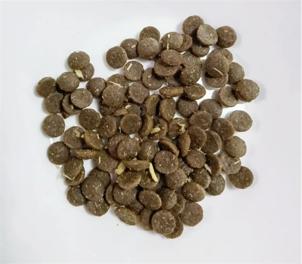 鸭肉猫粮性价比之王,营养全面易消化 鸭肉猫粮性价比之王,营养全面易消化