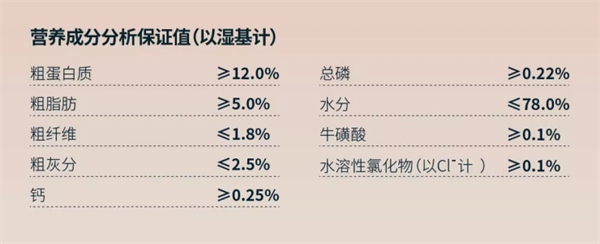 猫咪主食罐怎么选？东边罐头测评及注意事项