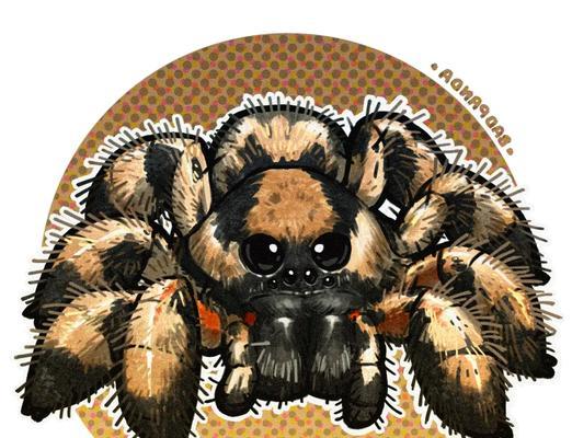 狼蛛饮食需求解析,科学喂养保障健康生活 狼蛛饮食需求解析,科学喂养保障健康生活