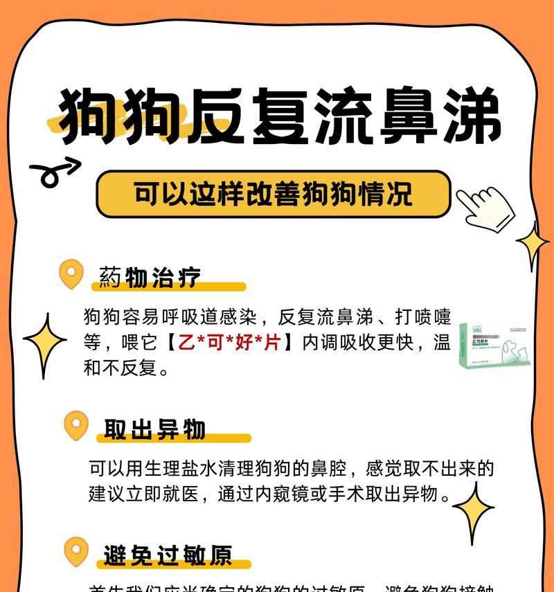 狗狗流鼻涕的原因、症状及护理方法详解 狗狗流鼻涕的原因、症状及护理方法详解