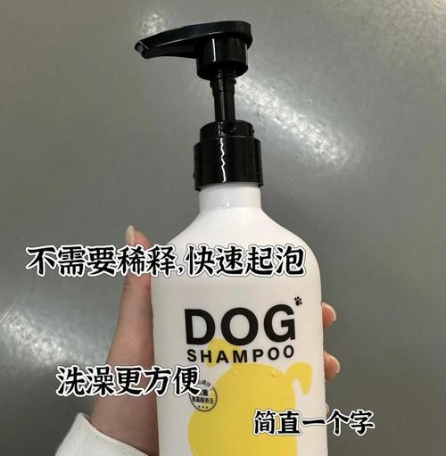 泰迪冬季洗澡频率如何把握?保持清洁与健康的关键 泰迪冬季洗澡频率如何把握?保持清洁与健康的关键