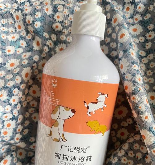 泰迪冬季洗澡频率如何把握?保持清洁与健康的关键 泰迪冬季洗澡频率如何把握?保持清洁与健康的关键