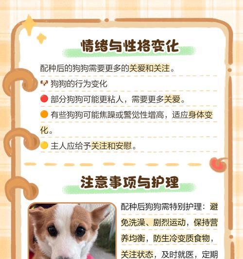 狗狗最佳配种时间的三种科学判断方法