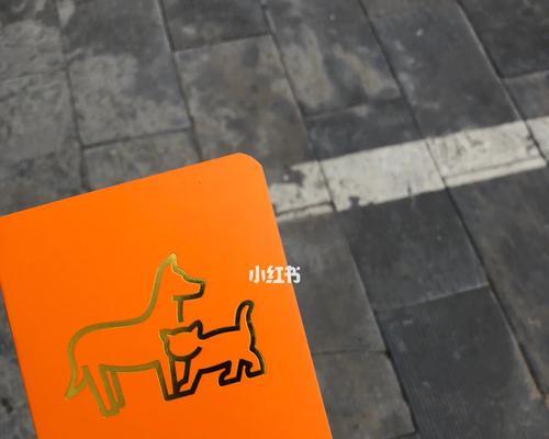 小狗第三针后洗澡注意事项及护理要点