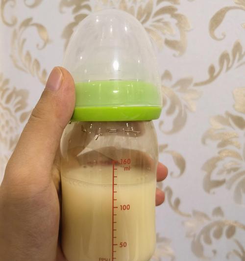 异国短毛猫断奶注意事项与健康发育指南