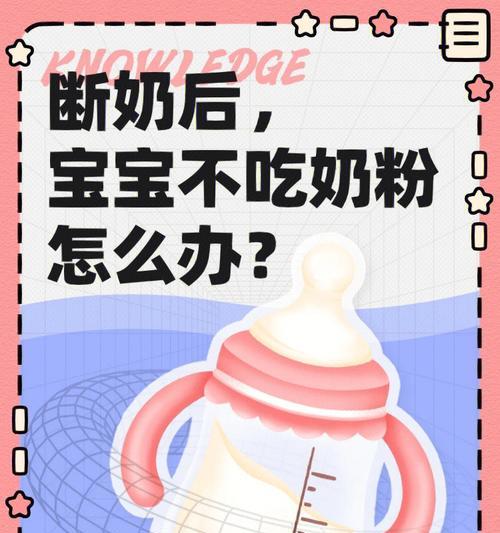 异国短毛猫断奶注意事项与健康发育指南