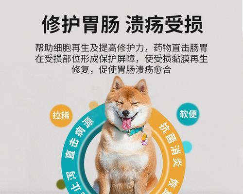 犬胃中药物消化速度及影响因素解析