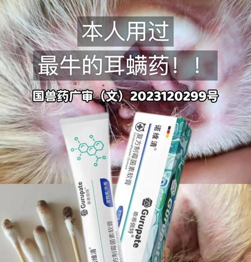 如何科学选择狗狗耳螨治疗药物及护理技巧