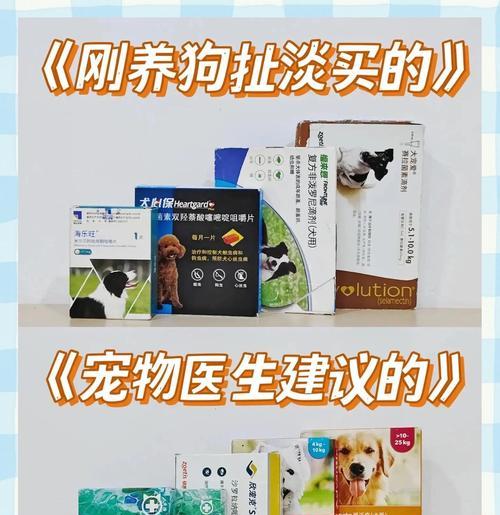 狗狗打虫药见效时间与注意事项全解析