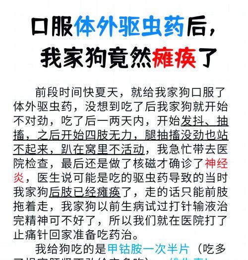 狗狗打虫药见效时间与注意事项全解析
