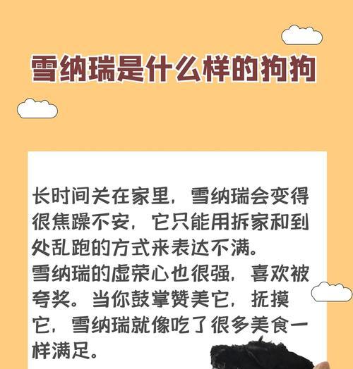 雪纳瑞腿毛生长周期解析与养护指南