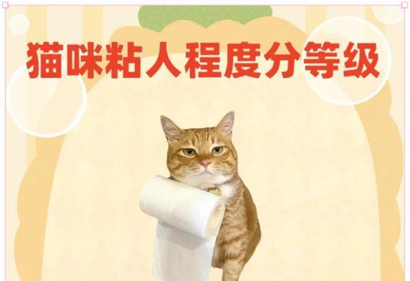 宠物为何总是黏人？揭秘背后的深层原因