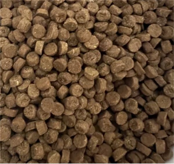 东边烘焙猫粮适合中国胃?测评结果揭晓 东边烘焙猫粮适合中国胃?测评结果揭晓