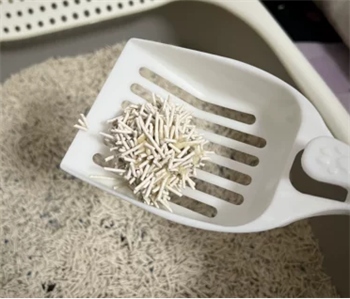 小鹿可可猫砂使用体验测评，适合懒人铲屎官的混合猫砂