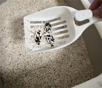 小鹿可可猫砂使用体验测评，适合懒人铲屎官的混合猫砂